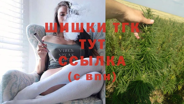 spice Каменка