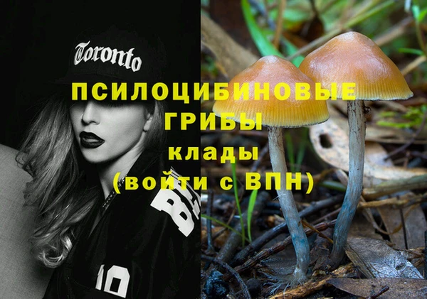 ешки Каменск-Шахтинский