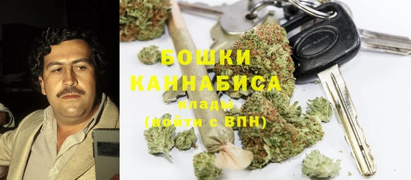 spice Каменка