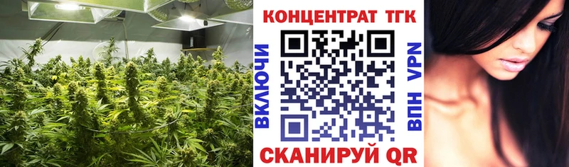 Купить закладки  Кстово  ТГК вейп с тгк 