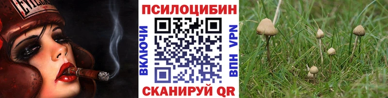 Галлюциногенные грибы Cubensis  Купить  Кстово 