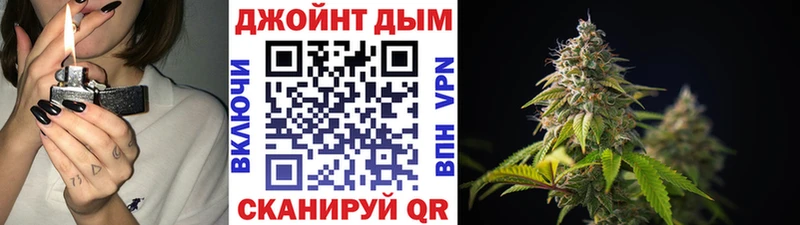 Купить закладки  Кстово  Конопля сатива 